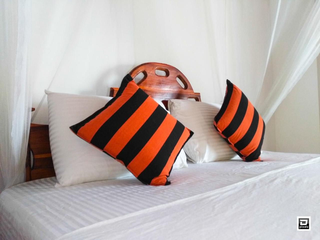 Ella River Face Inn エクステリア 写真