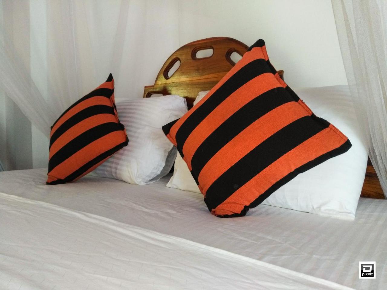 Ella River Face Inn エクステリア 写真